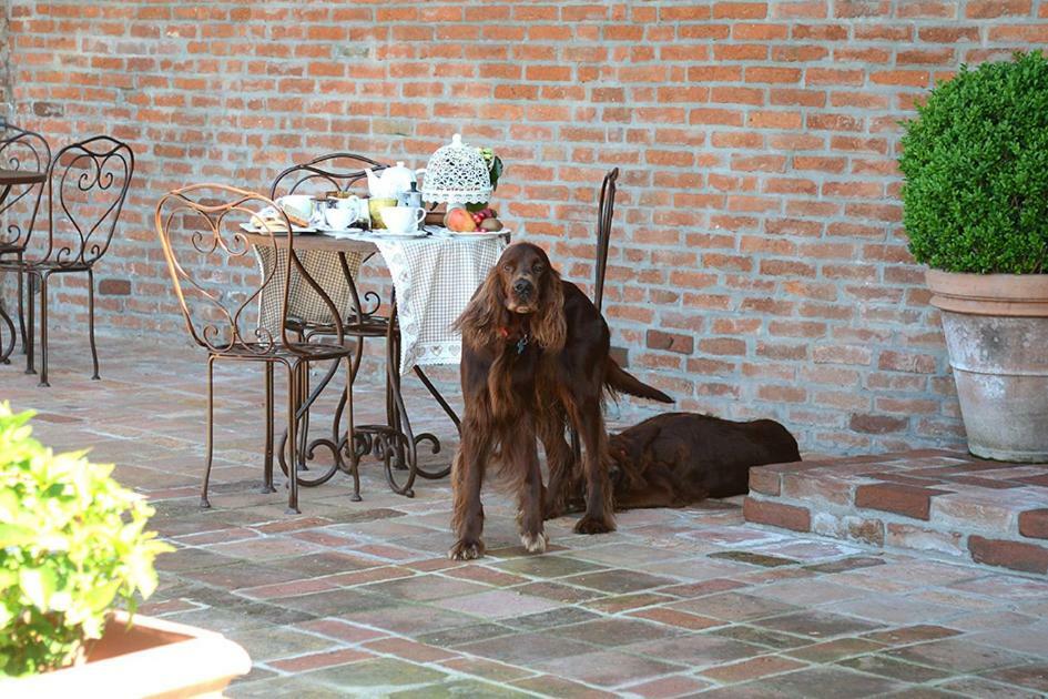 Tenuta Degli Angeli Rossi Asti Exterior foto
